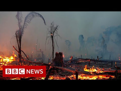 Climate change IPCC report is ‘code red for humanity’, UN scientists say – BBC News