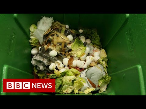 How can how we solve the planet’s food waste problem? – BBC News