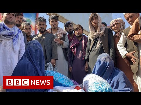 ‘No work and no money’: Afghans settle into life under Taliban rule – BBC News