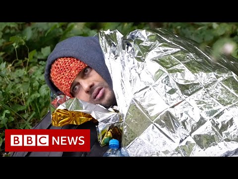 Migrants freezing to death on Belarus-Poland border – BBC News