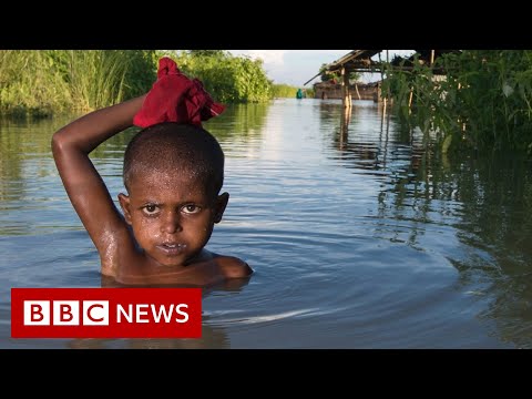 How climate change is making inequality worse – BBC News