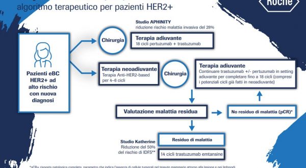 Due nuove molecole per la cura del tumore al seno HER2+ in fase precoce