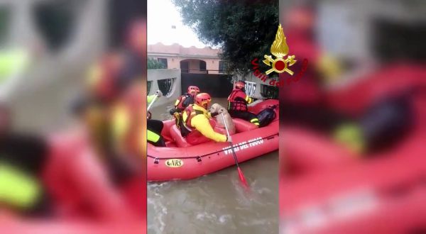 Maltempo, i vigili del fuoco salvano in gommone un uomo e il suo cane