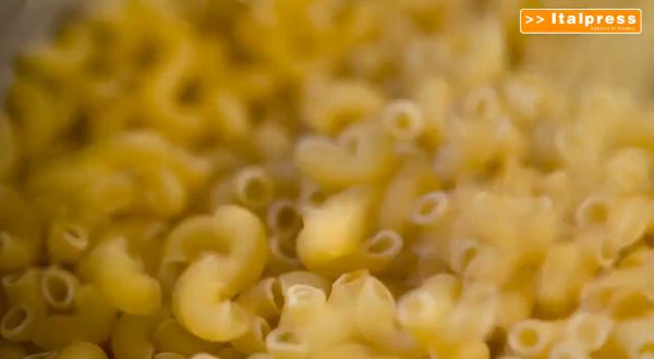 World Pasta Day, italiano 60% del grano duro utilizzato