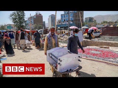 UN urges economic aid for Afghanistan to avoid disaster – BBC News