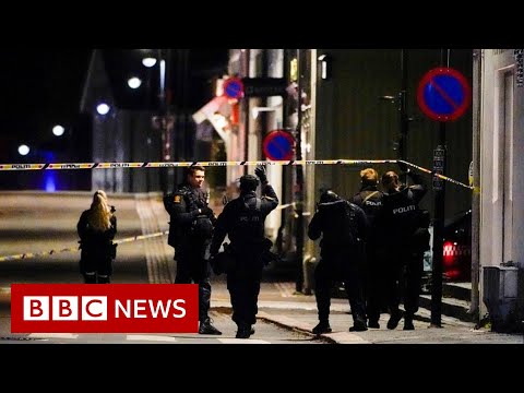 Norway bow and arrow suspected killer known to police, and feared radicalised – BBC News