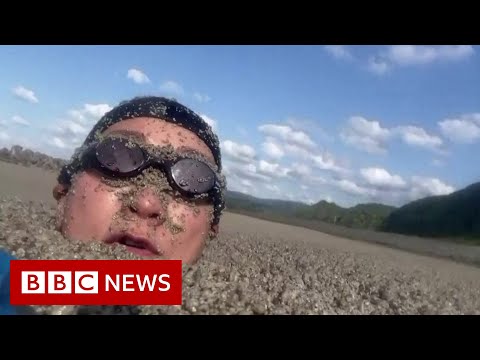 Swimming through pumice stone after underwater volcanic eruption – BBC News