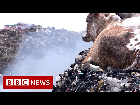 Fast fashion: The dumping ground for unwanted clothes – BBC News