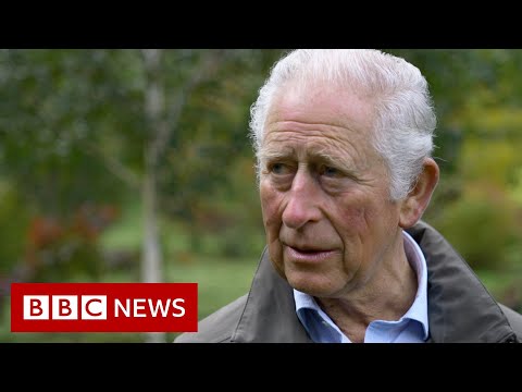 Prince Charles gets ‘frustration’ climate campaigners like Greta Thunberg feel – BBC News