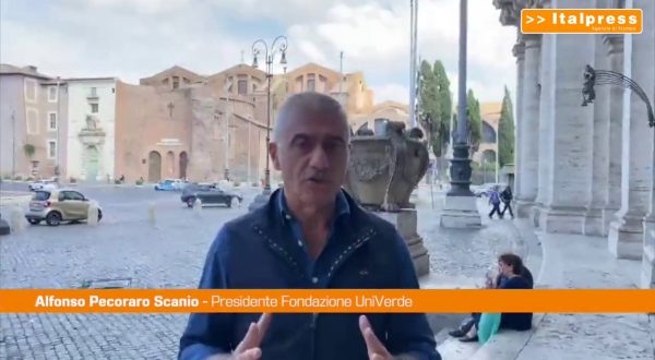 Roma, Pecoraro Scanio: “Incendio Ponte Industria sospetto, ora basta”