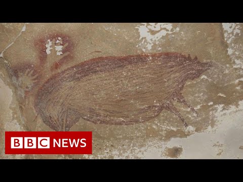 World’s oldest animal cave painting in Indonesia – BBC News