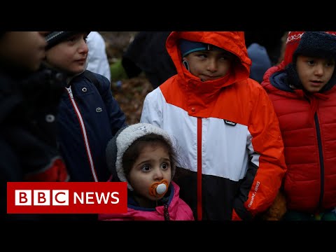 Stranded in the freezing darkness of a Polish forest – BBC News