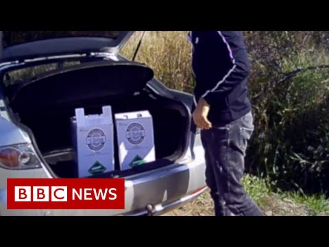 ‘Black market’ of greenhouse gases worth millions of pounds being smuggled into the UK – BBC News