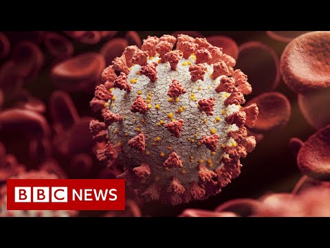 Fears heavily mutated Covid variant ‘may evade vaccine protection’ – BBC News