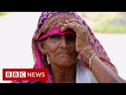 The community trying to save its forest – BBC News