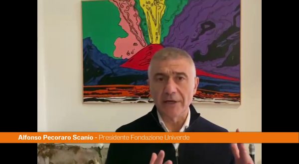 Pecoraro Scanio “I mufloni vanno trasferiti non uccisi”