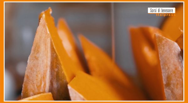 Sorsi di benessere – Crema di zucca con cialde di Grana Padano