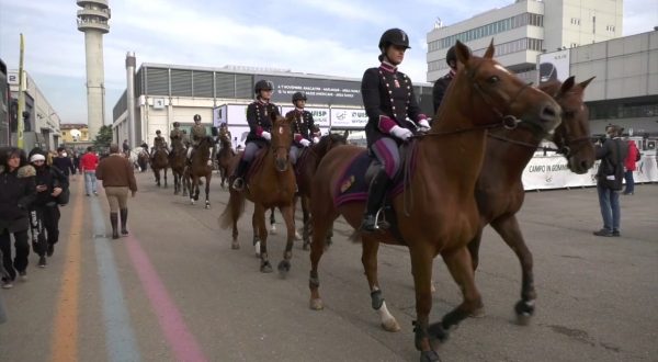 Fieracavalli, secondo weekend fra western e gare