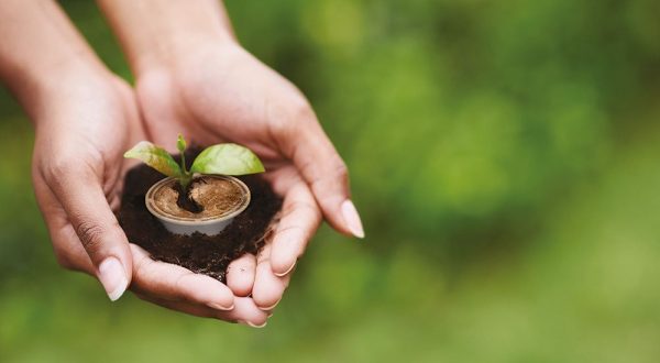 Caffè Borbone lancia una capsula amica della natura