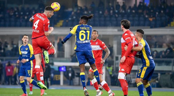 Lasagna e Castrovilli, Verona-Fiorentina 1-1