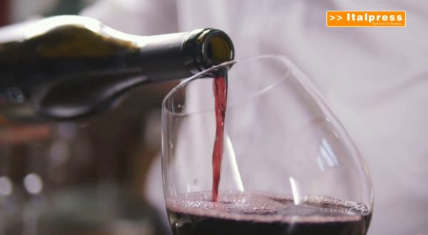 Vino, aumentano i costi di produzione in Europa