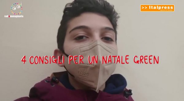 Quattro consigli per un Natale green