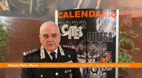 Carabinieri, le specie protette nel calendario Cites