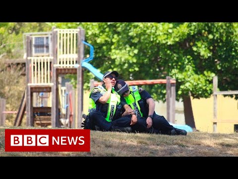 Five children killed in Australian bouncy castle accident – BBC News