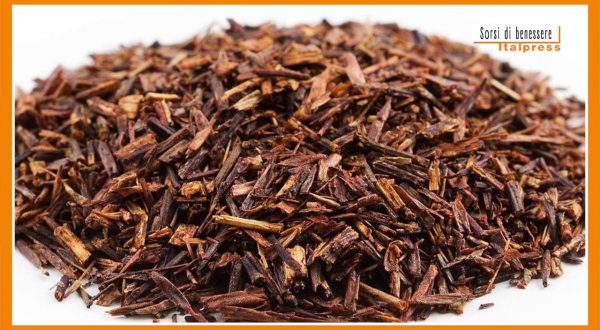 Sorsi di benessere – Come preparare il tè rooibos