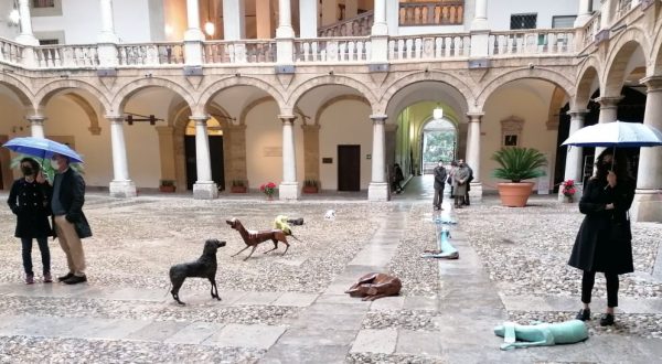 Il “Branco” di Vitali si insedia al Palazzo Reale di Palermo