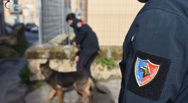 Armi e droga, sei arresti a Palermo