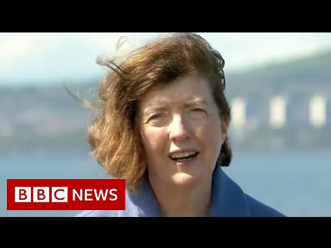 Who is Sue Gray? – BBC News