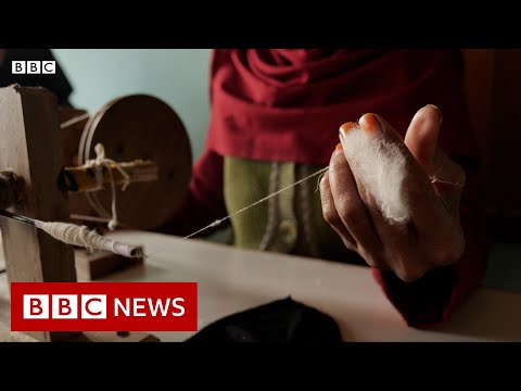 Reviving Kashmir’s traditional pashmina industry – BBC News