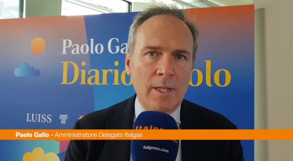 Gallo “Diffondere la cultura digitale nelle aziende”