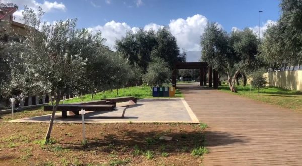 Palermo, dagli ulivi del “Giardino della memoria” nasce l’olio santo