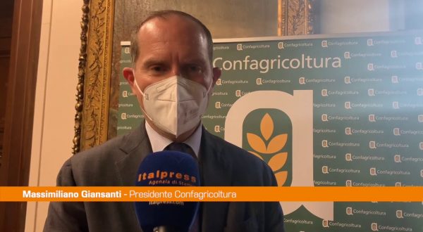 Agroalimentare, Giansanti “Valorizzare la filiera del grano duro”