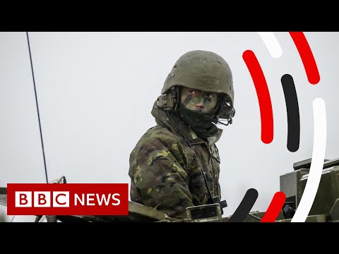 What is the role of Nato in the Russia-Ukraine crisis? – BBC News