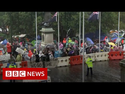 New Zealand blasts James Blunt and Baby Shark at Covid rule protesters – BBC News