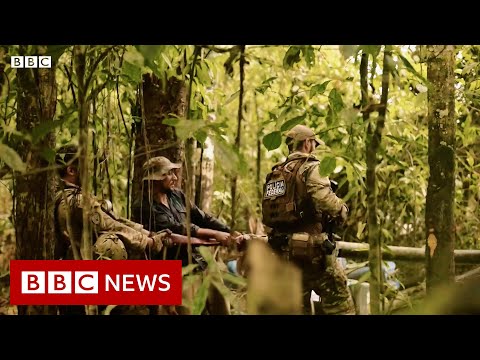 The illegal Brazilian gold you may be wearing – BBC News