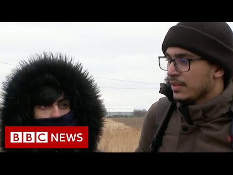 Calls for Ukraine to become member of EU as refugees flee conflict – BBC News