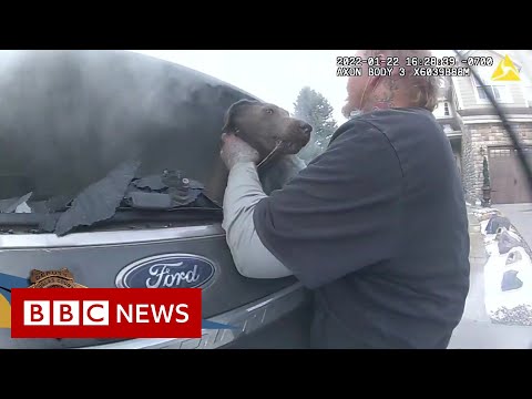 Dog rescued from car fire in Colorado, US – BBC News