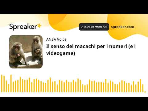 Il senso dei macachi per i numeri (e i videogame)