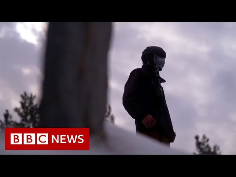 Growing evidence of Taliban reprisal arrests and killings in Afghanistan – BBC News