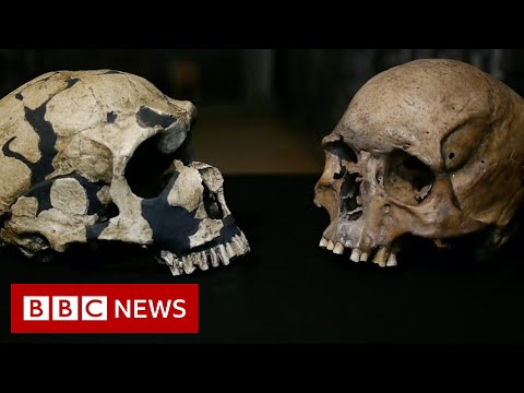 Modern humans arrived in Europe thousands of years earlier than previously thought – BBC News