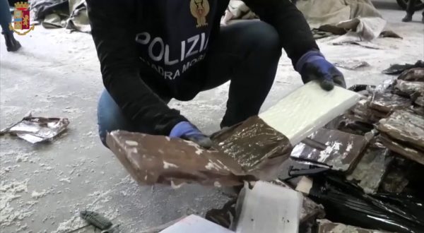 Operazione antidroga polizia di Bologna, sequestrati 760 kg cocaina