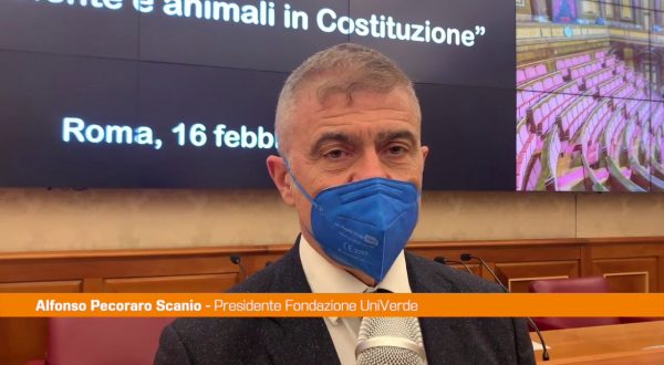 Pecoraro Scanio “Ambiente in Costituzione, le leggi si adeguino”