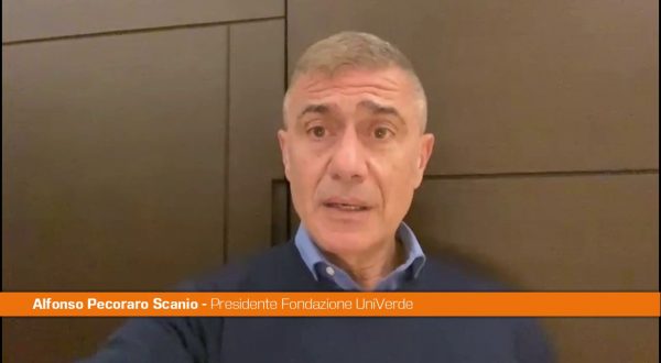 Pecoraro Scanio “Anche Confindustria boccia il governo sul carbone”