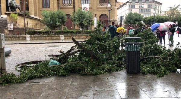 Il vento e i temporali devastano Palermo