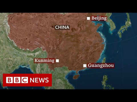 Chinese passenger plane crashes with 132 people on board – BBC News