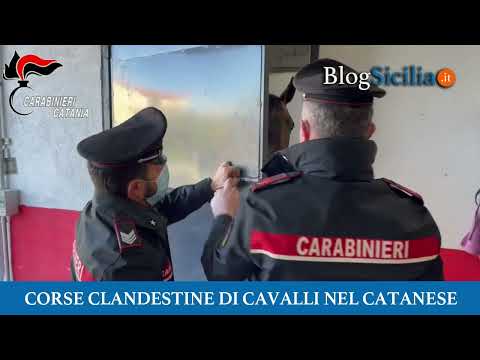 Corse clandestine di cavalli nel Catanese